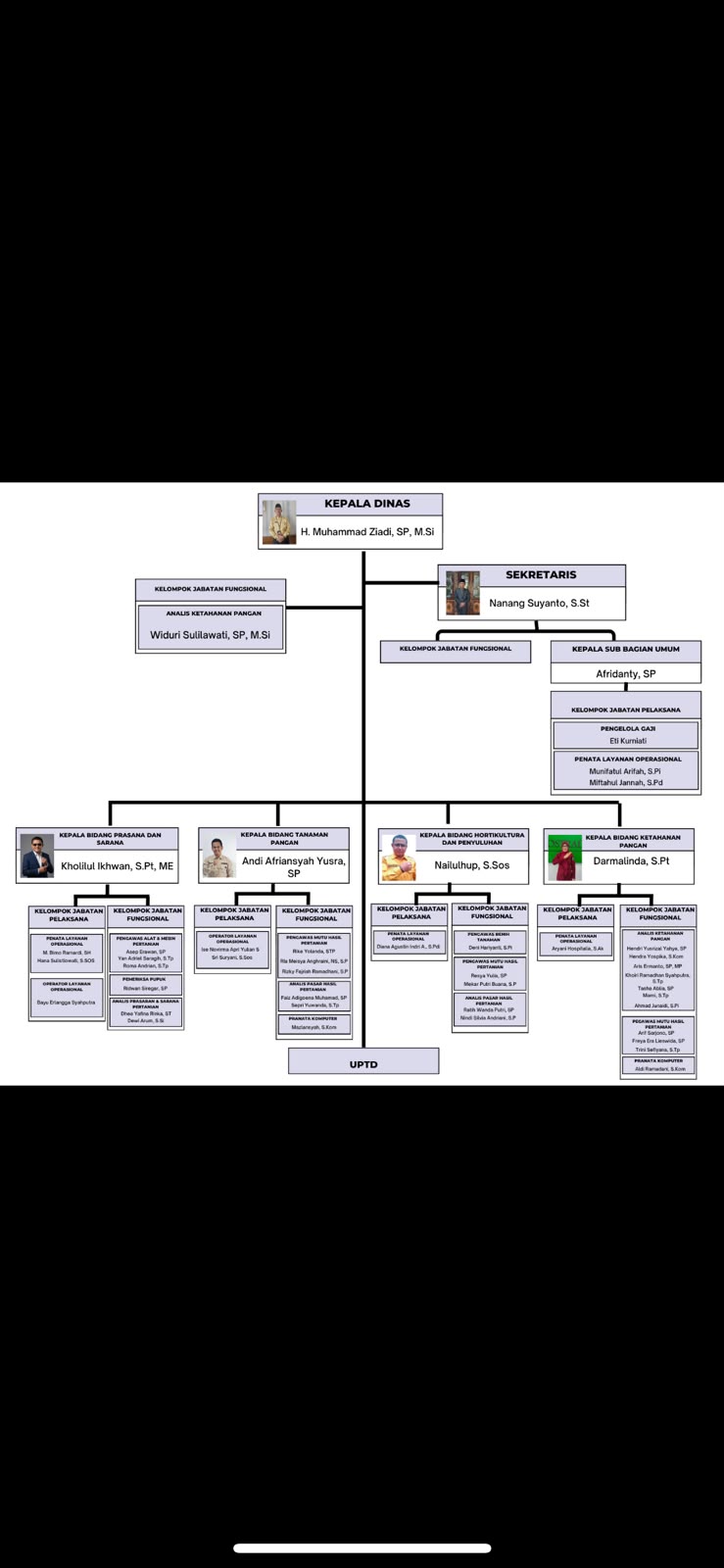 Struktur Organisasi